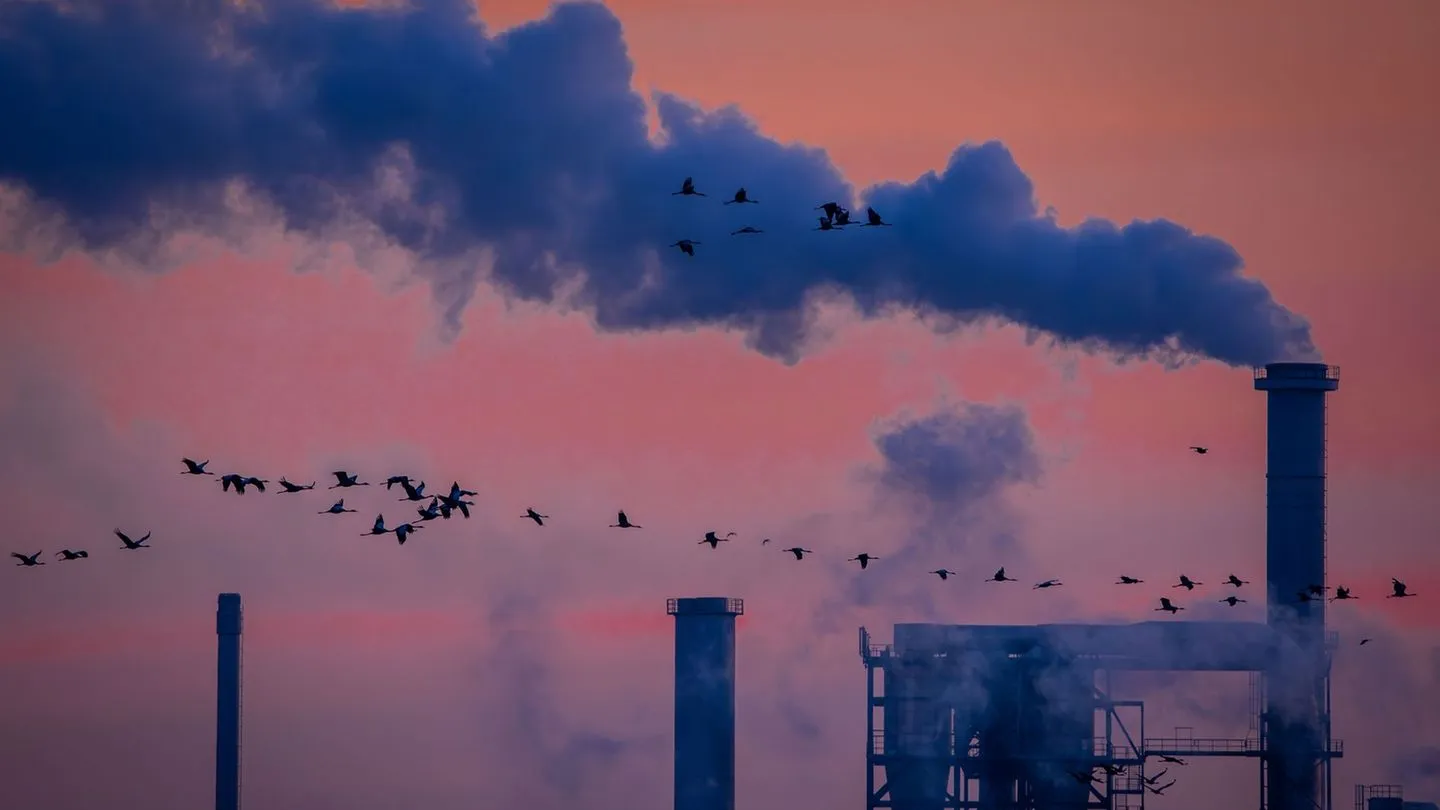 Konjunktur: Industrieaufträge steigen überraschend stark — Aufwind dank staatlicher Rüstungsaufträge